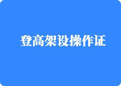 看日逼舒服视频登高架设操作证